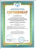 Сертификат участника Международного вебинара" Кружковая деятельность художественно-эстетического направления в ДОО: программа и методика проведения"